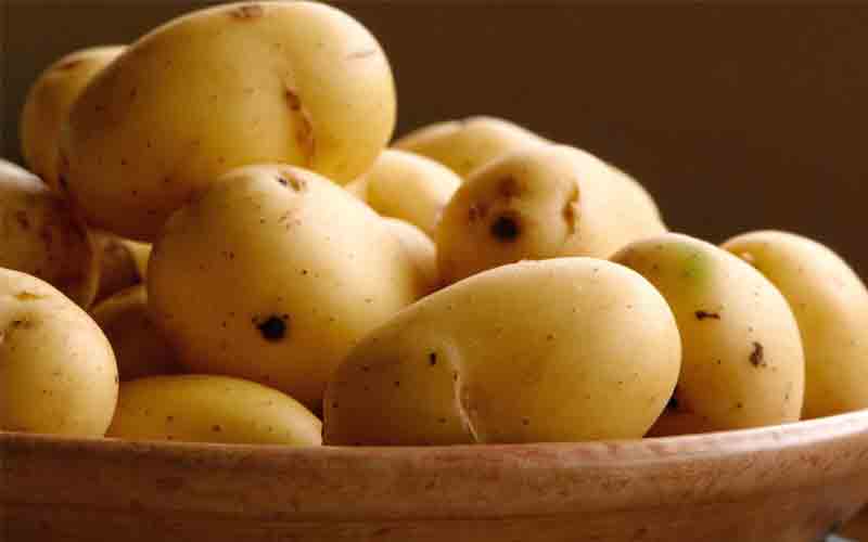 Fresh Potato Producer