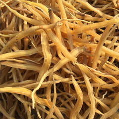 Dried Shatavari Root Suppliers