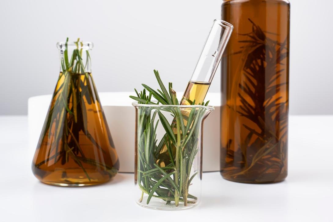 Rosemary Extract Manufacturers