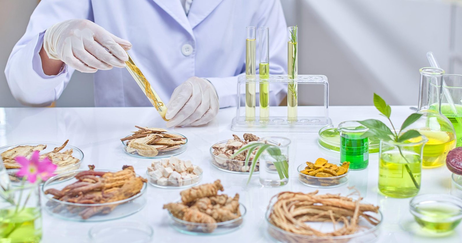 Ashwagandha Extract Manufacturers