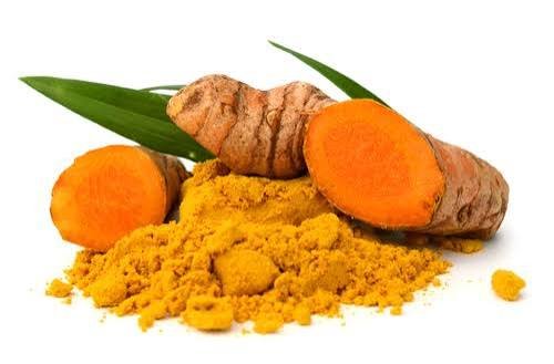 Curcuma Longa Extract