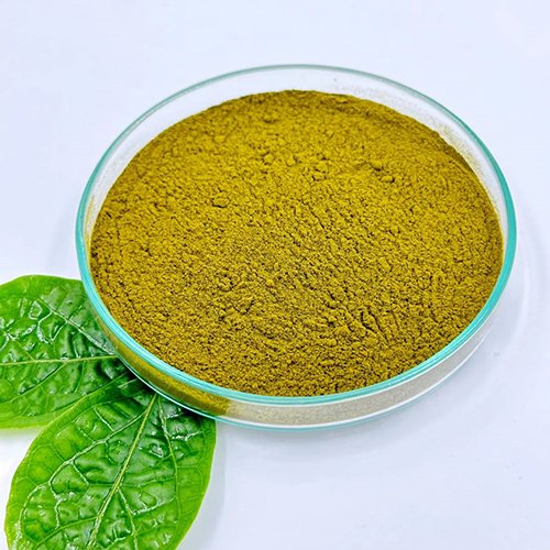 Gymnema Sylvestre Extract