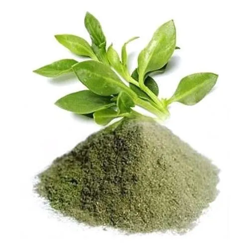 Andrographis Paniculata Extract In South Africa
