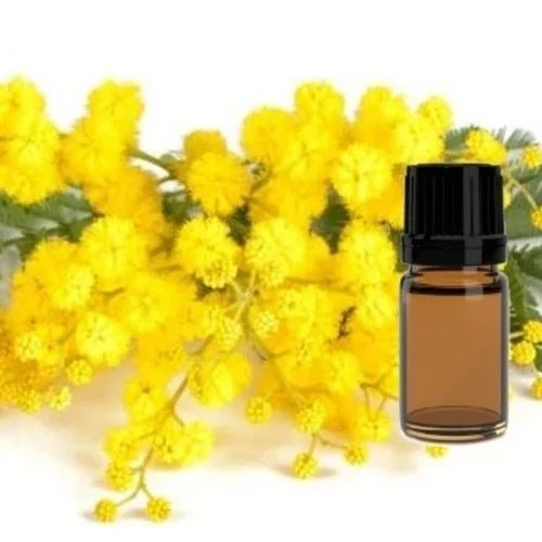 Mimosa Absolute Extract