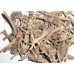 Akarkara Root