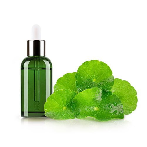 Centella Asiatica Extract Exporters